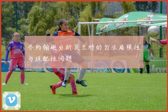 乔约翰逊分析莫兰特的打法局限性与适配性问题