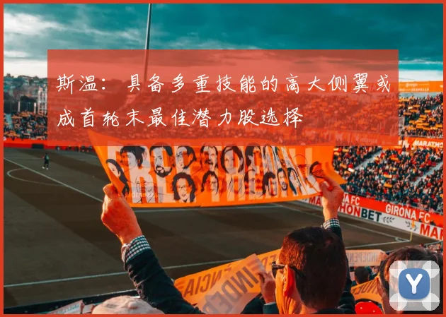 斯温：具备多重技能的高大侧翼或成首轮末最佳潜力股选择